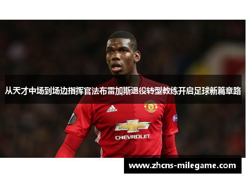 从天才中场到场边指挥官法布雷加斯退役转型教练开启足球新篇章路 从天才中场到场边指挥官法布雷加斯退役转型教练开启足球新篇章路
